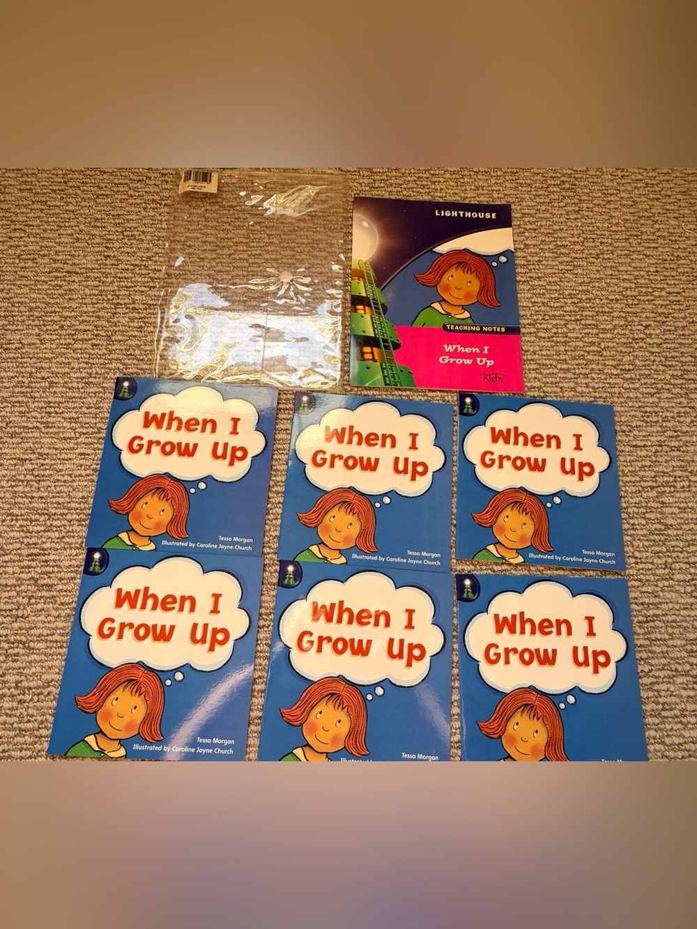Rigby Lighthouse When I Grow Up Guided Reading Set – 6 Books + Teaching Notes